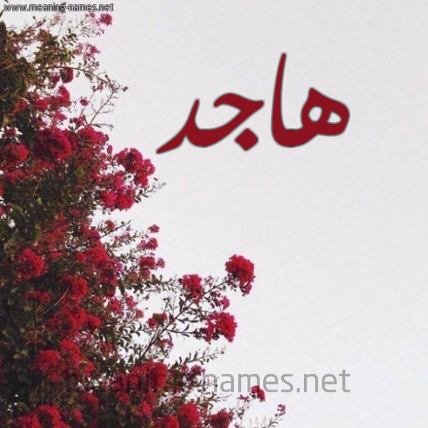 شكل 18 صوره الورد الأحمر للإسم بخط رقعة صورة اسم هاجد Hajid