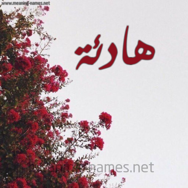شكل 18 صوره الورد الأحمر للإسم بخط رقعة صورة اسم هادئة Hadea