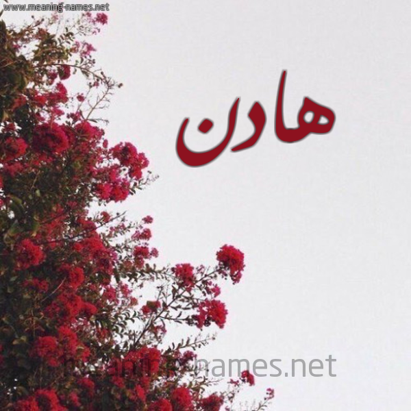 شكل 18 صوره الورد الأحمر للإسم بخط رقعة صورة اسم هادن Hadin