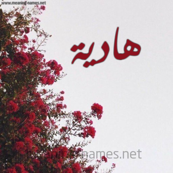 شكل 18 صوره الورد الأحمر للإسم بخط رقعة صورة اسم هادية Hadih
