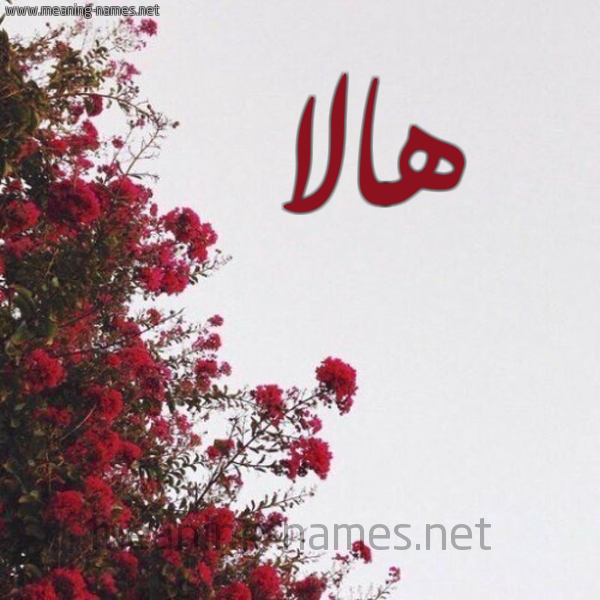 شكل 18 صوره الورد الأحمر للإسم بخط رقعة صورة اسم هالا Hala
