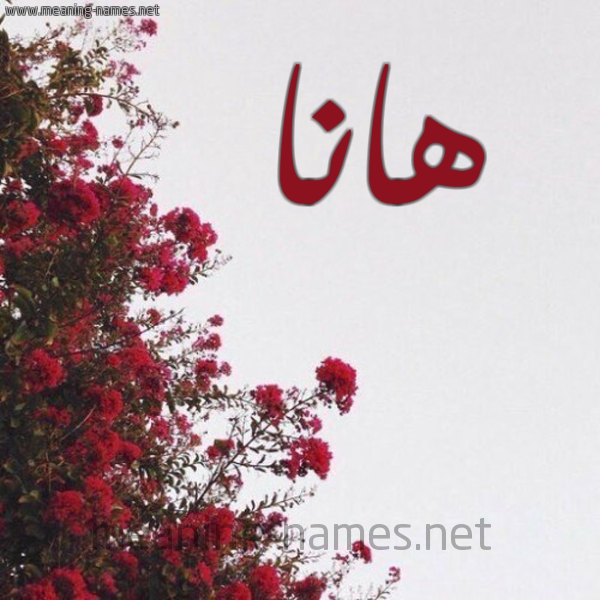 شكل 18 صوره الورد الأحمر للإسم بخط رقعة صورة اسم هانا hana