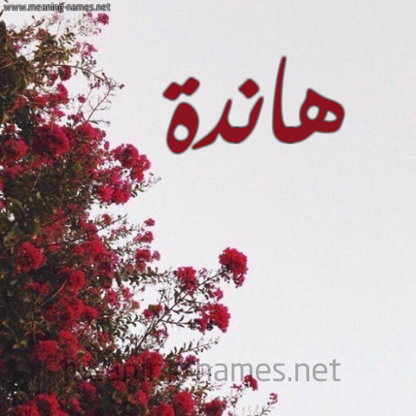 شكل 18 صوره الورد الأحمر للإسم بخط رقعة صورة اسم هاندة Hande
