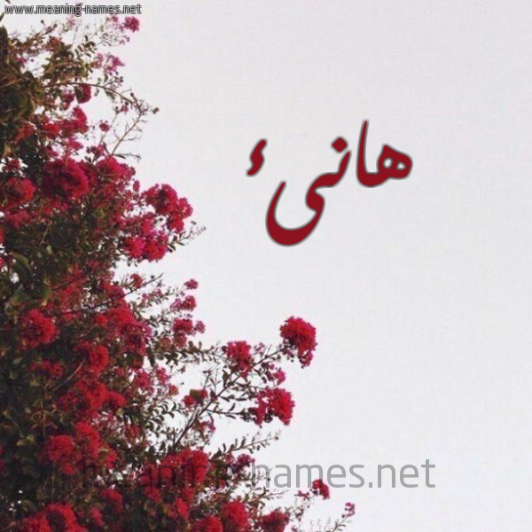 شكل 18 صوره الورد الأحمر للإسم بخط رقعة صورة اسم هانىء HANAA