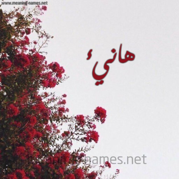 شكل 18 صوره الورد الأحمر للإسم بخط رقعة صورة اسم هانيء Hany'a