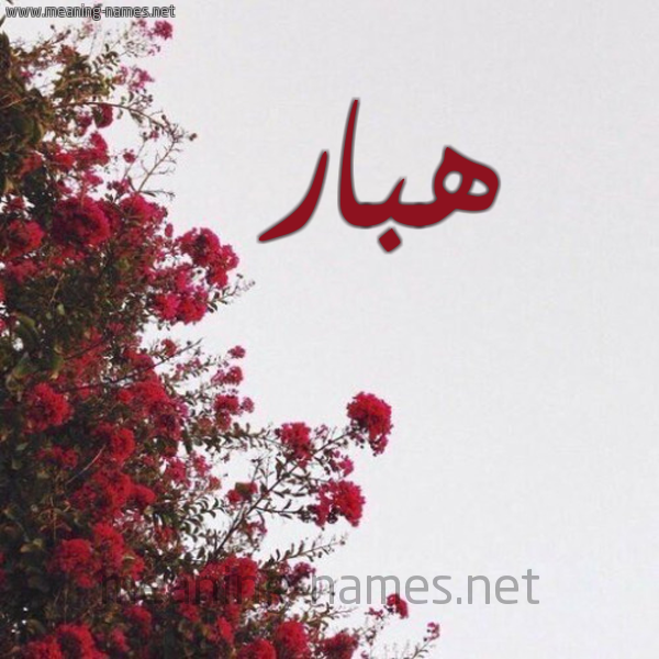 شكل 18 صوره الورد الأحمر للإسم بخط رقعة صورة اسم هبار Hbar