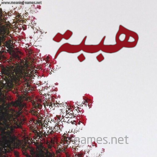 شكل 18 صوره الورد الأحمر للإسم بخط رقعة صورة اسم هببة Heba