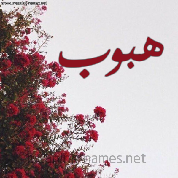 شكل 18 صوره الورد الأحمر للإسم بخط رقعة صورة اسم هبوب Hbwb