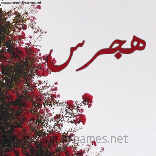 شكل 18 صوره الورد الأحمر للإسم بخط رقعة صورة اسم هجرس HGRS