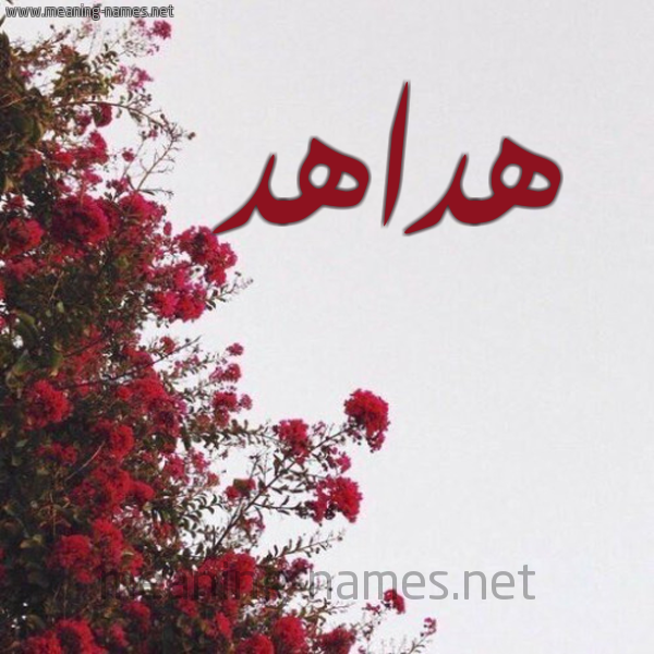 شكل 18 صوره الورد الأحمر للإسم بخط رقعة صورة اسم هداهد Hdahd