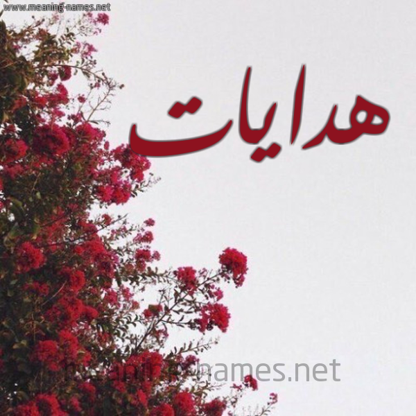 شكل 18 صوره الورد الأحمر للإسم بخط رقعة صورة اسم هدايات Hdaiat