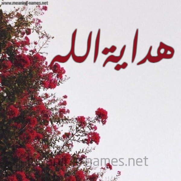 شكل 18 صوره الورد الأحمر للإسم بخط رقعة صورة اسم هدايةالله Hdayhallh