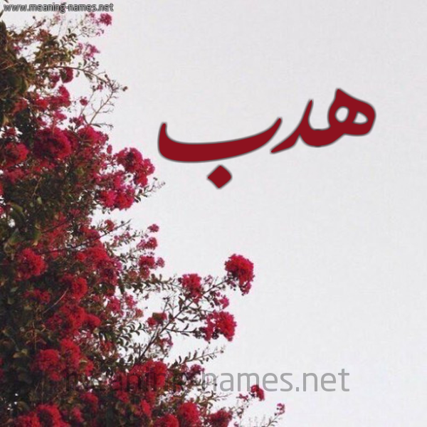 شكل 18 صوره الورد الأحمر للإسم بخط رقعة صورة اسم هدب Hdb