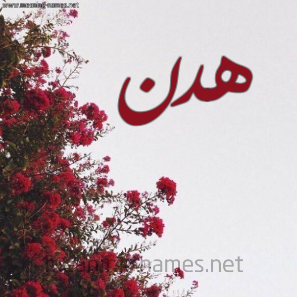 شكل 18 صوره الورد الأحمر للإسم بخط رقعة صورة اسم هدن Hadan