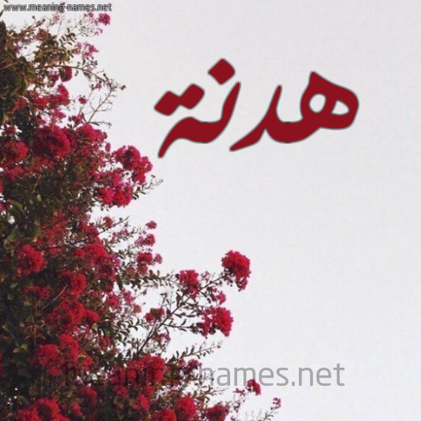 شكل 18 صوره الورد الأحمر للإسم بخط رقعة صورة اسم هدنة هُدْنة-Hdnh