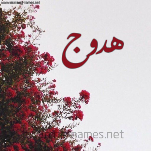 شكل 18 صوره الورد الأحمر للإسم بخط رقعة صورة اسم هدوج Hdwj