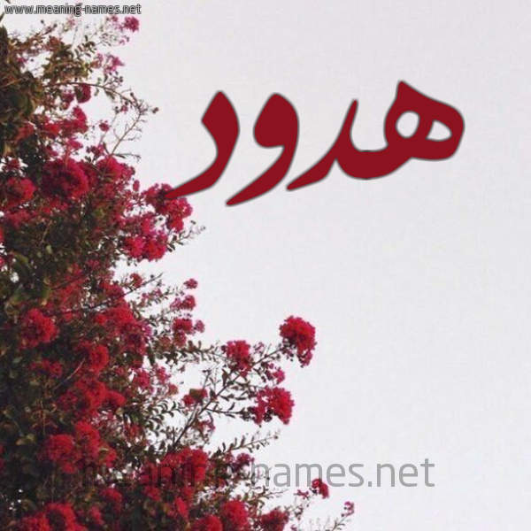 شكل 18 صوره الورد الأحمر للإسم بخط رقعة صورة اسم هدود Hdwd