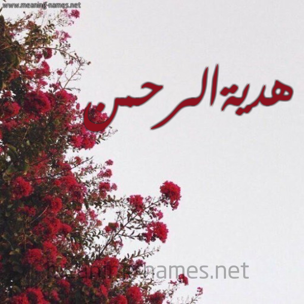 شكل 18 صوره الورد الأحمر للإسم بخط رقعة صورة اسم هديةالرحمن Hdyhalrhmn