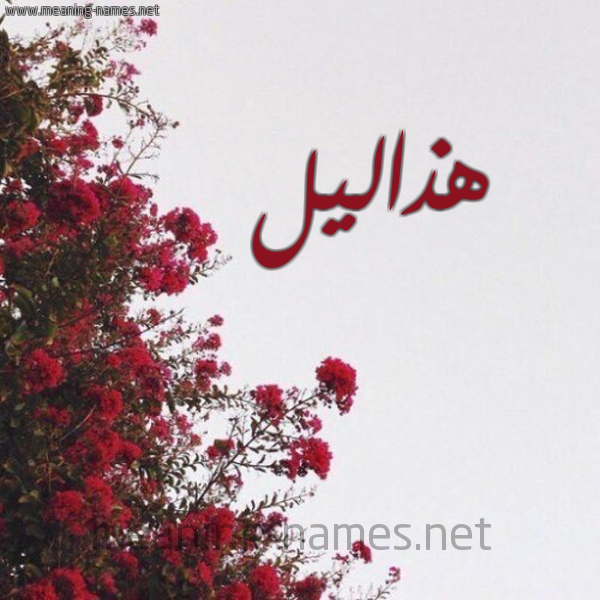 شكل 18 صوره الورد الأحمر للإسم بخط رقعة صورة اسم هذاليل Hdhalyl