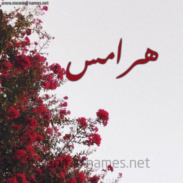 شكل 18 صوره الورد الأحمر للإسم بخط رقعة صورة اسم هرامس Hrams