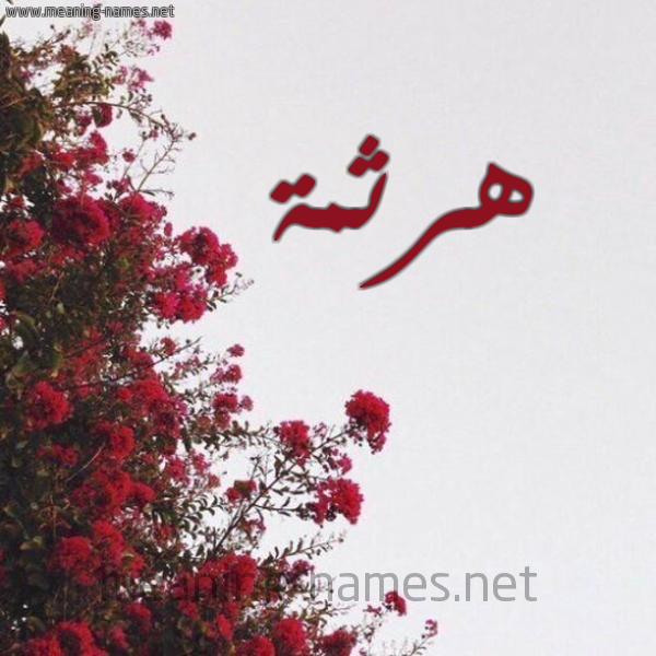 شكل 18 صوره الورد الأحمر للإسم بخط رقعة صورة اسم هرثمة Harthama