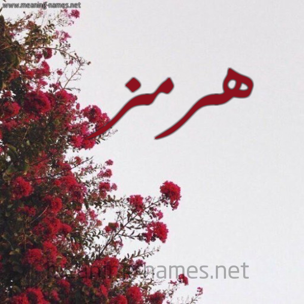 شكل 18 صوره الورد الأحمر للإسم بخط رقعة صورة اسم هرمز HRMZ