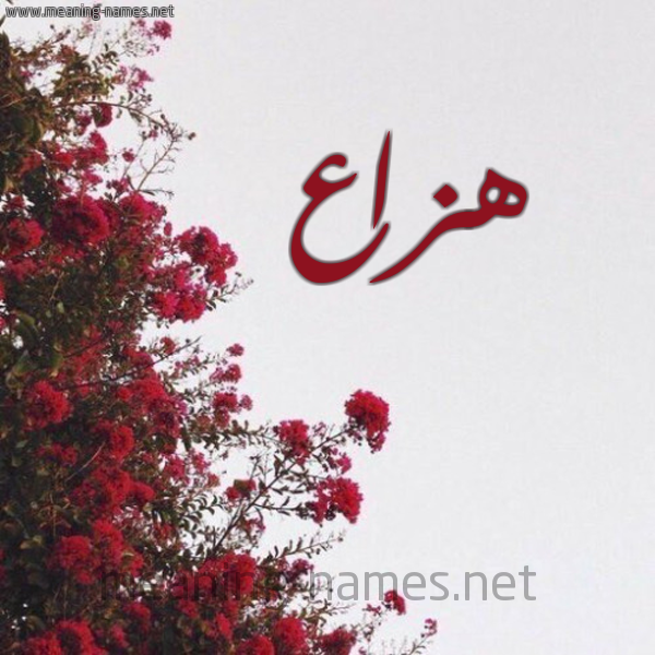 شكل 18 صوره الورد الأحمر للإسم بخط رقعة صورة اسم هزاع Haza