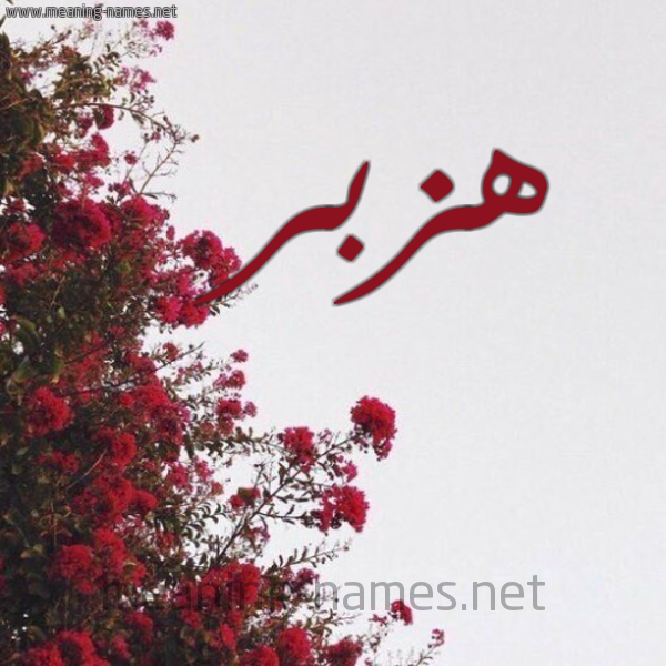 شكل 18 صوره الورد الأحمر للإسم بخط رقعة صورة اسم هزبر Hzbr