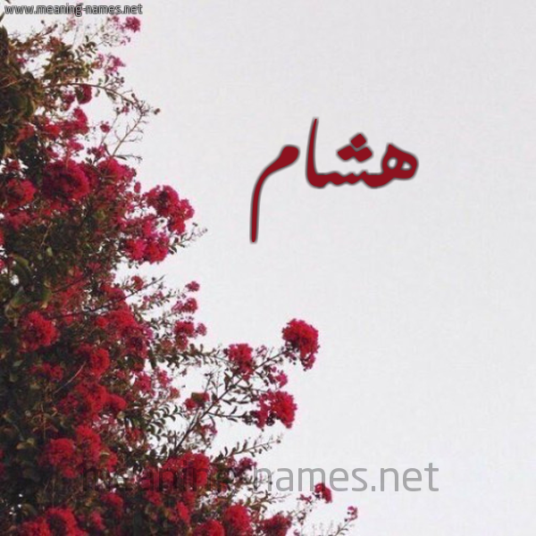 شكل 18 صوره الورد الأحمر للإسم بخط رقعة صورة اسم هشام Hesham