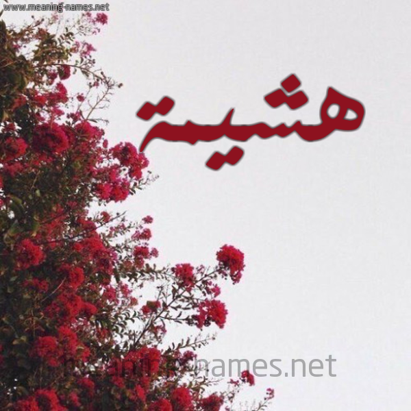 شكل 18 صوره الورد الأحمر للإسم بخط رقعة صورة اسم هشيمة Hashima