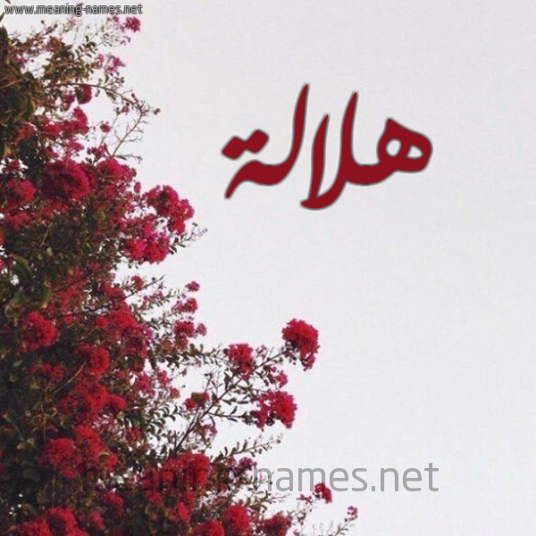 شكل 18 صوره الورد الأحمر للإسم بخط رقعة صورة اسم هلالة Hlalh