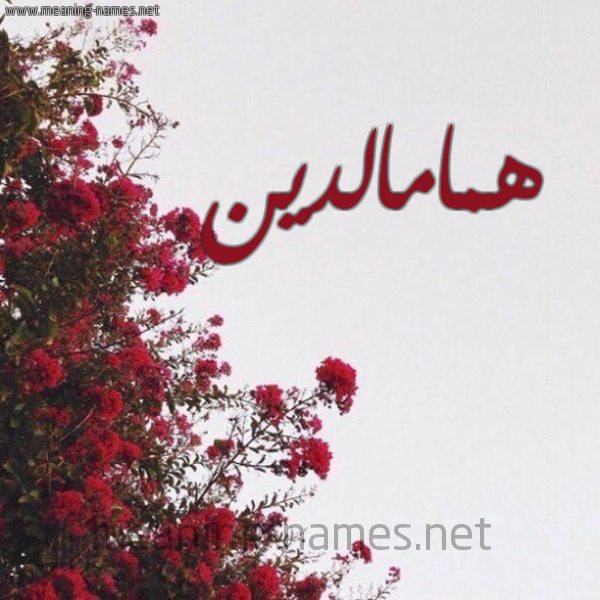 شكل 18 صوره الورد الأحمر للإسم بخط رقعة صورة اسم همامالدين Hmamaldyn