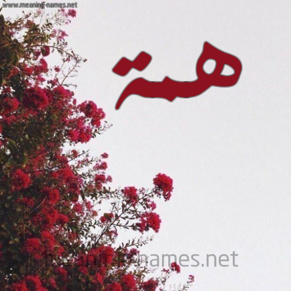 شكل 18 صوره الورد الأحمر للإسم بخط رقعة صورة اسم همة Hmh