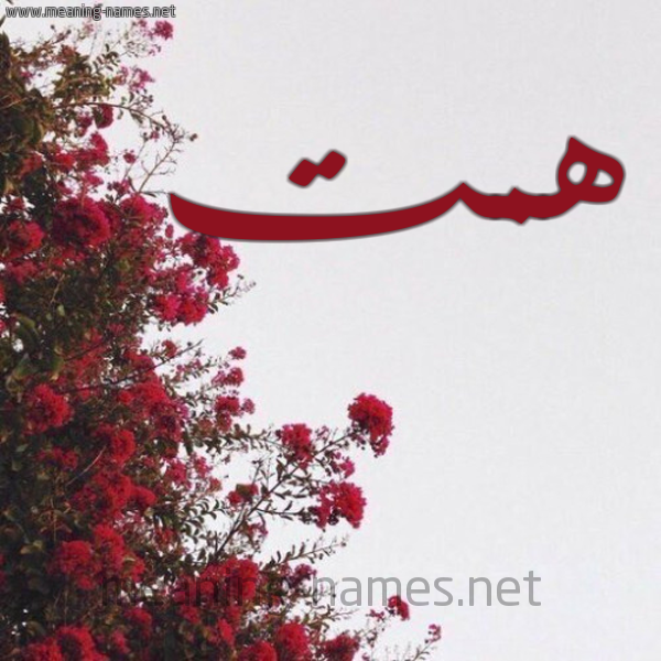 شكل 18 صوره الورد الأحمر للإسم بخط رقعة صورة اسم همت HMT