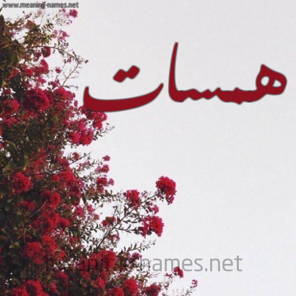 شكل 18 صوره الورد الأحمر للإسم بخط رقعة صورة اسم همسات Hamasat