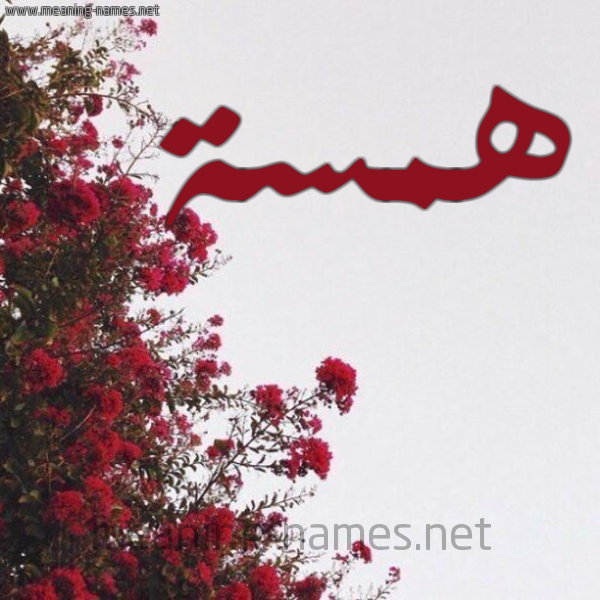 شكل 18 صوره الورد الأحمر للإسم بخط رقعة صورة اسم همسة Hamssa
