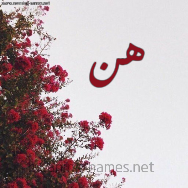 شكل 18 صوره الورد الأحمر للإسم بخط رقعة صورة اسم هن HN