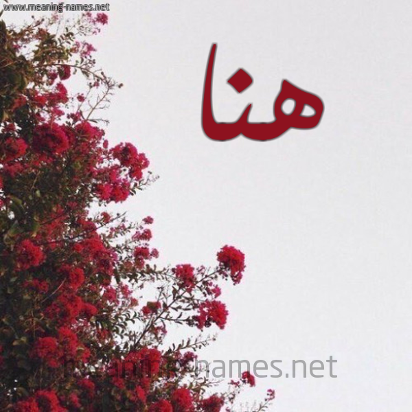 شكل 18 صوره الورد الأحمر للإسم بخط رقعة صورة اسم هنا Hna