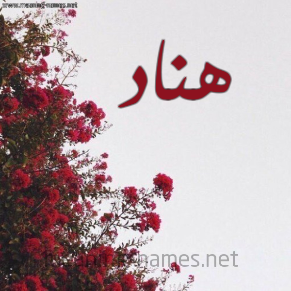 شكل 18 صوره الورد الأحمر للإسم بخط رقعة صورة اسم هناد Hnad