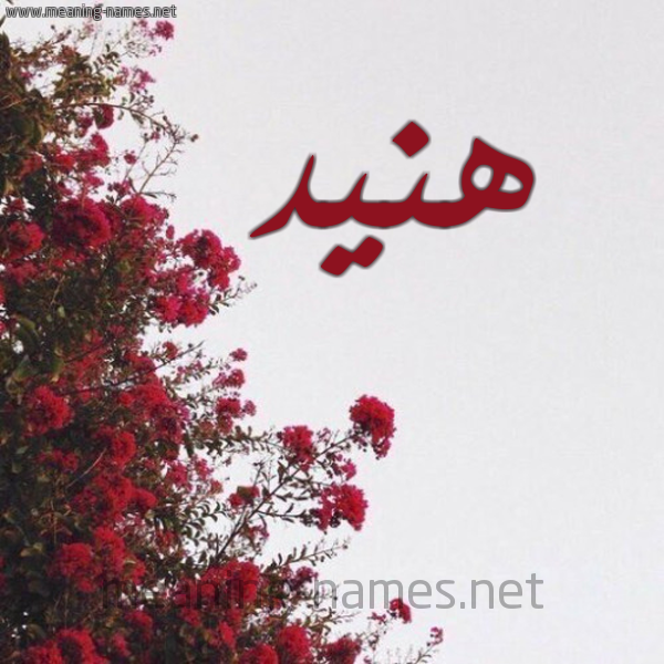 شكل 18 صوره الورد الأحمر للإسم بخط رقعة صورة اسم هنيد HNID