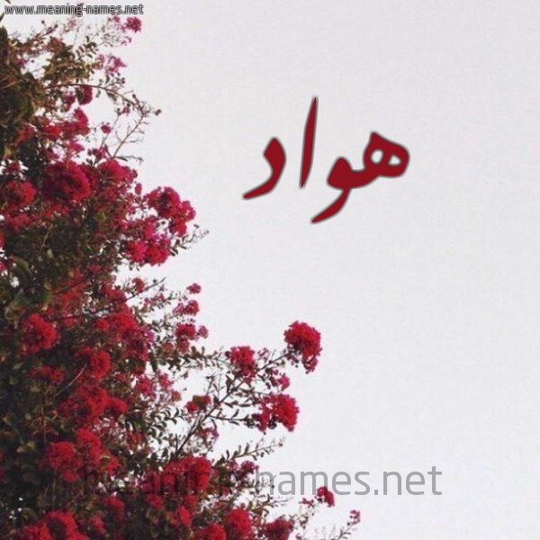 شكل 18 صوره الورد الأحمر للإسم بخط رقعة صورة اسم هواد Hawad