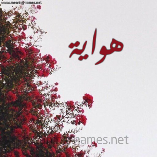 شكل 18 صوره الورد الأحمر للإسم بخط رقعة صورة اسم هواية HOAIH