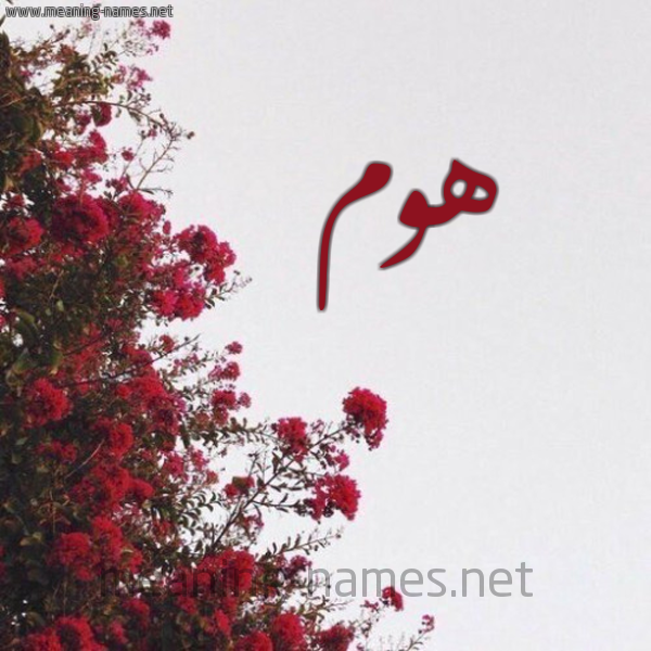 شكل 18 صوره الورد الأحمر للإسم بخط رقعة صورة اسم هوم Hwm