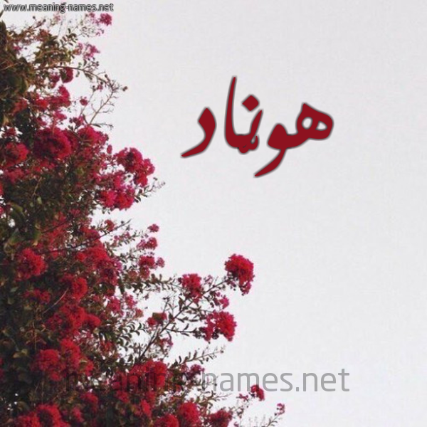 شكل 18 صوره الورد الأحمر للإسم بخط رقعة صورة اسم هونّاد Hannad