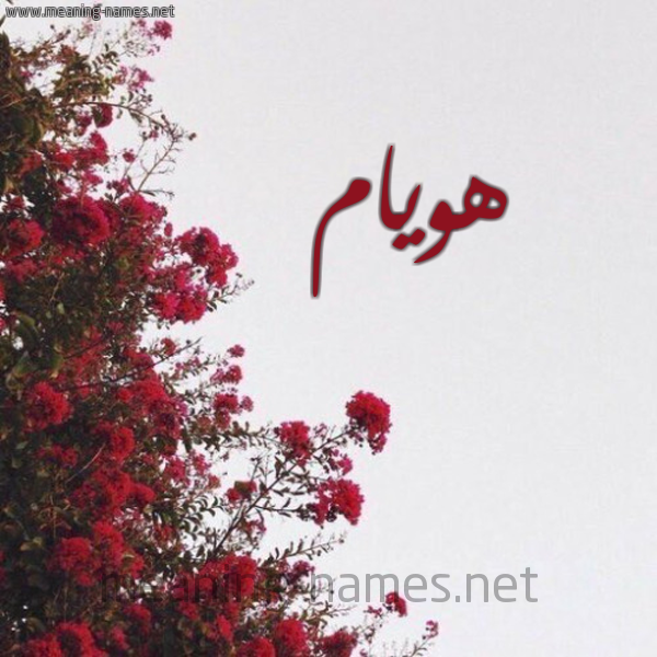 شكل 18 صوره الورد الأحمر للإسم بخط رقعة صورة اسم هويام Huyam