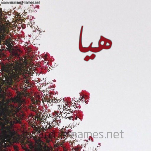 شكل 18 صوره الورد الأحمر للإسم بخط رقعة صورة اسم هيا Hia