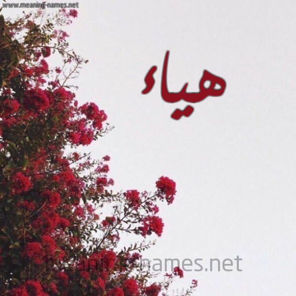 شكل 18 صوره الورد الأحمر للإسم بخط رقعة صورة اسم هياء Hyaa
