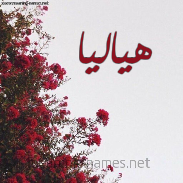 شكل 18 صوره الورد الأحمر للإسم بخط رقعة صورة اسم هياليا Halia