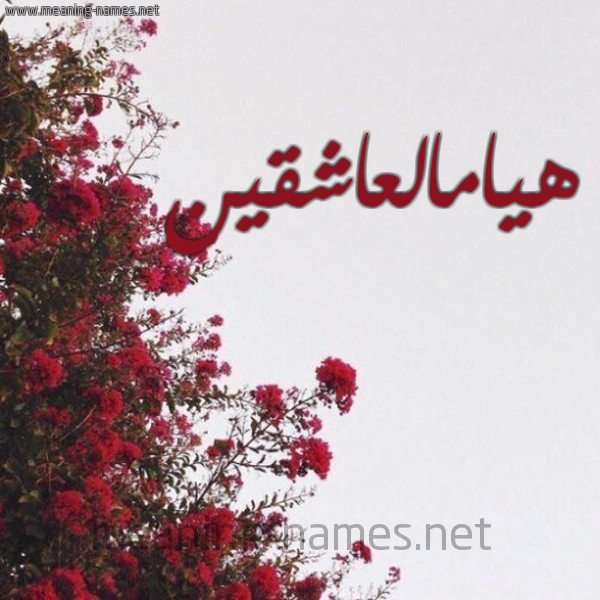 شكل 18 صوره الورد الأحمر للإسم بخط رقعة صورة اسم هيامالعاشقين Hyamal'ashqyn