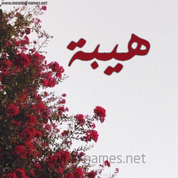 شكل 18 صوره الورد الأحمر للإسم بخط رقعة صورة اسم هيبة Hybh